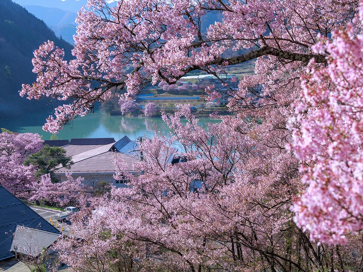沼尾